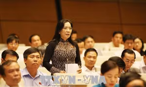 Băn khoăn về xử lý tài sản, thu nhập kê khai không trung thực 