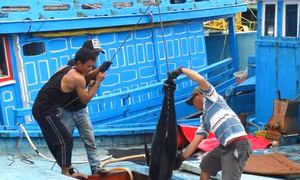 Tháng 1/2019, EC sẽ quay lại Việt Nam xem xét lại vấn đề khắc phục 'thẻ vàng'