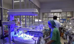 Giải thưởng Phụ nữ Việt Nam năm 2018: Duy trì nhịp sống cho những mầm non tương lai