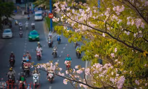 TP Hồ Chí Minh
