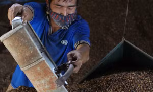 Xử lý nghiêm cơ sở nhuộm đen cà phê bằng bột pin