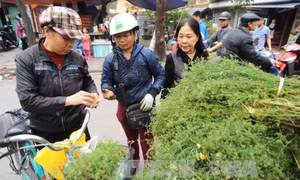 Tết Việt, nét xưa còn mãi