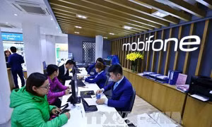Vụ MobiFone mua 95% cổ phần của AVG: Xử lý đúng pháp luật