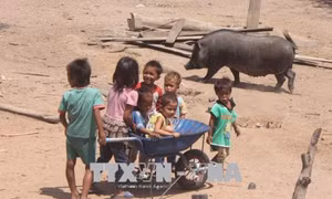 Những ngôi làng '5 không' ở Gia Lai