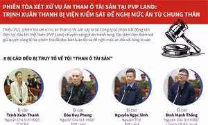 Vụ án tham ô tại PVP Land: Trịnh Xuân Thanh bị đề nghị mức án tù chung thân