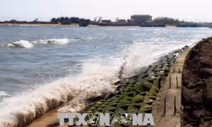 Tuyến kè hạ lưu sông Đà Rằng sụt lở nghiêm trọng, đe doạ tới cuộc sống của người dân