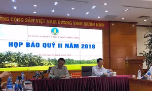 GDP nông nghiệp quý I tăng cao nhất trong 13 năm qua