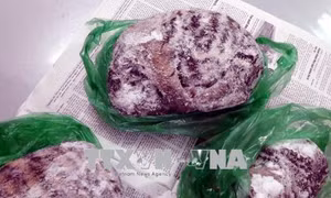 Mua hai xác hổ ngâm rượu làm quà biếu, bị phạt 75 triệu đồng