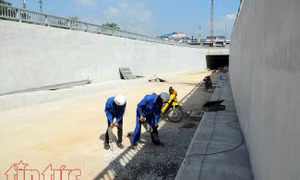 TP Hồ Chí Minh