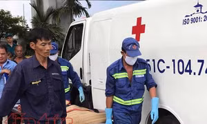 TP Hồ Chí Minh