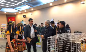 Dự án Trang trại Gà H’Mong B&C giành giải nhất Khởi nghiệp 2017