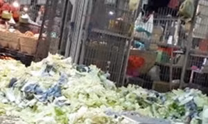 Phạt 155 triệu đồng cơ sở gom rau bãi rác làm... cải bắc thảo muối
