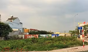 TP Hồ Chí Minh