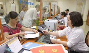Hà Nội mang sức Xuân vào lao động, sản xuất 
