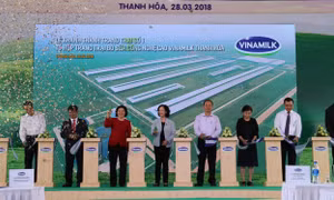 Khánh thành Tổ hợp trang trại bò sữa công nghệ cao Vinamilk tại Thanh Hóa 