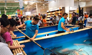 Đưa đặc sản cá sông Đà vào siêu thị phục vụ người tiêu dùng