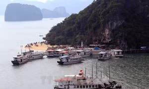 Quảng Ninh ngừng sử dụng sản phẩm nhựa dùng một lần trên vịnh Hạ Long