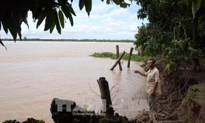 Vĩnh Long:Hỗ trợ các hộ bị thiệt hại do sạt lở bờ sông ổn định đời sống 