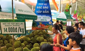TP Hồ Chí Minh