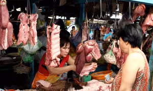 Giá lợn hơi tăng kỷ lục, gấp đôi so với năm ngoái 