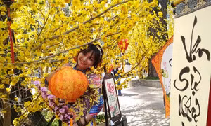 TP Hồ Chí Minh