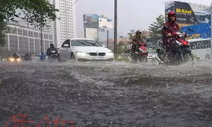 TP Hồ Chí Minh