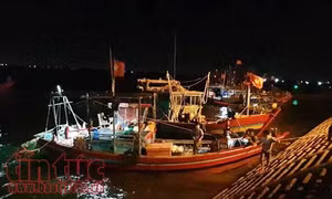 Phát hiện thi thể người mắc vào lưới đánh cá