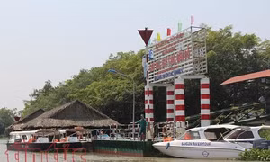 TP Hồ Chí Minh