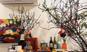 Văn khấn rằm tháng Giêng chuẩn nhất Tết Nguyên đán Mậu Tuất 2018