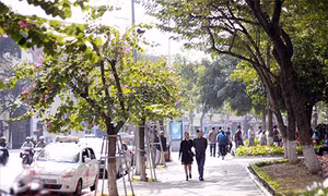 Bắc Bộ duy trì tiết trời tạnh ráo, ngày hửng nắng, lạnh về đêm và sáng đến 5/4 