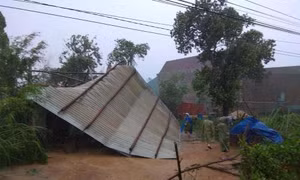 Bình Định hỗ trợ xây nhà cho hộ có nhà bị sập, hư hỏng do bão lũ 