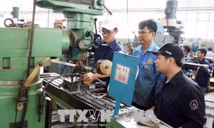 Hiểu thị trường lao động để tăng năng suất 