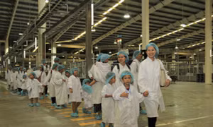 Vinamilk tổ chức cho con nhân viên khám phá siêu nhà máy sữa