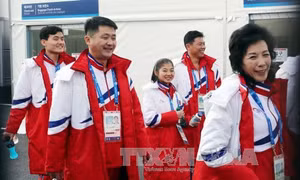 Olympic PyeongChang: Các VĐV Triều Tiên không được hưởng đặc quyền 