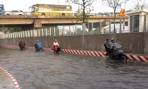 Tp Hồ Chí Minh