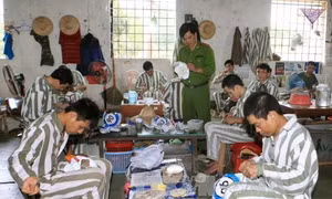 Tập huấn triển khai quy định về tha tù trước thời hạn có điều kiện