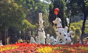 TP Hồ Chí Minh