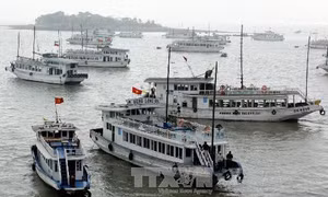 Thuyền viên quay lén du khách đang tắm tráng, tàu du lịch vịnh Hạ Long bị đình chỉ 