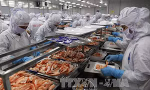 Không chủ quan để hướng tới mục tiêu tăng trưởng 6,7% 