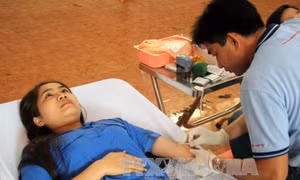 Những con người mang dòng máu hiếm và trái tim hồng 