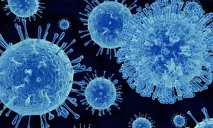 Bồ Đào Nha ghi nhận ổ dịch norovirus, ảnh hưởng hơn 120 người