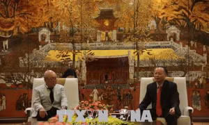 Nghệ sĩ Nhật Bản sẽ biểu diễn điệu múa Yosakoi tại phố đi bộ Hà Nội 
