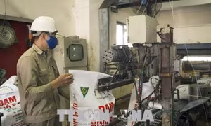 Hồi sinh dự án thua lỗ ngành công thương: Mấu chốt là gỡ từ chính sách 