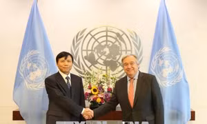Tổng Thư ký Liên hợp quốc Antonio Guterres đánh giá cao sự hợp tác của Việt Nam 