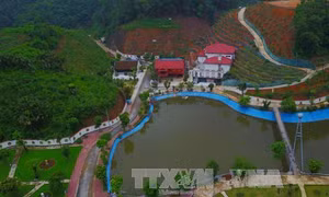 Kê khai không trung thực thì thu hồi tài sản chứ không phải ‘truy thu thuế thu nhập’