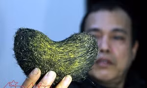 Mổ lợn ăn tết, 2 gia đình ở Thái Bình phát hiện vật nghi là 'cát lợn'