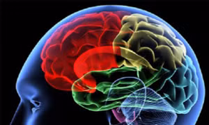 Công nghệ kích thích não sâu thế hệ mới - đột phá trong điều trị bệnh Parkinson
