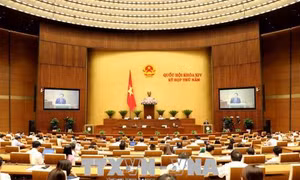 Tăng đối thoại, tranh luận trong hoạt động nghị trường 