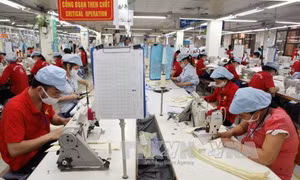 Ủy ban hỗn hợp về FTA giữa Việt Nam và EAEU họp phiên đầu tiên