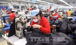 Chính phủ hành động để CPTPP nhanh chóng đi vào cuộc sống